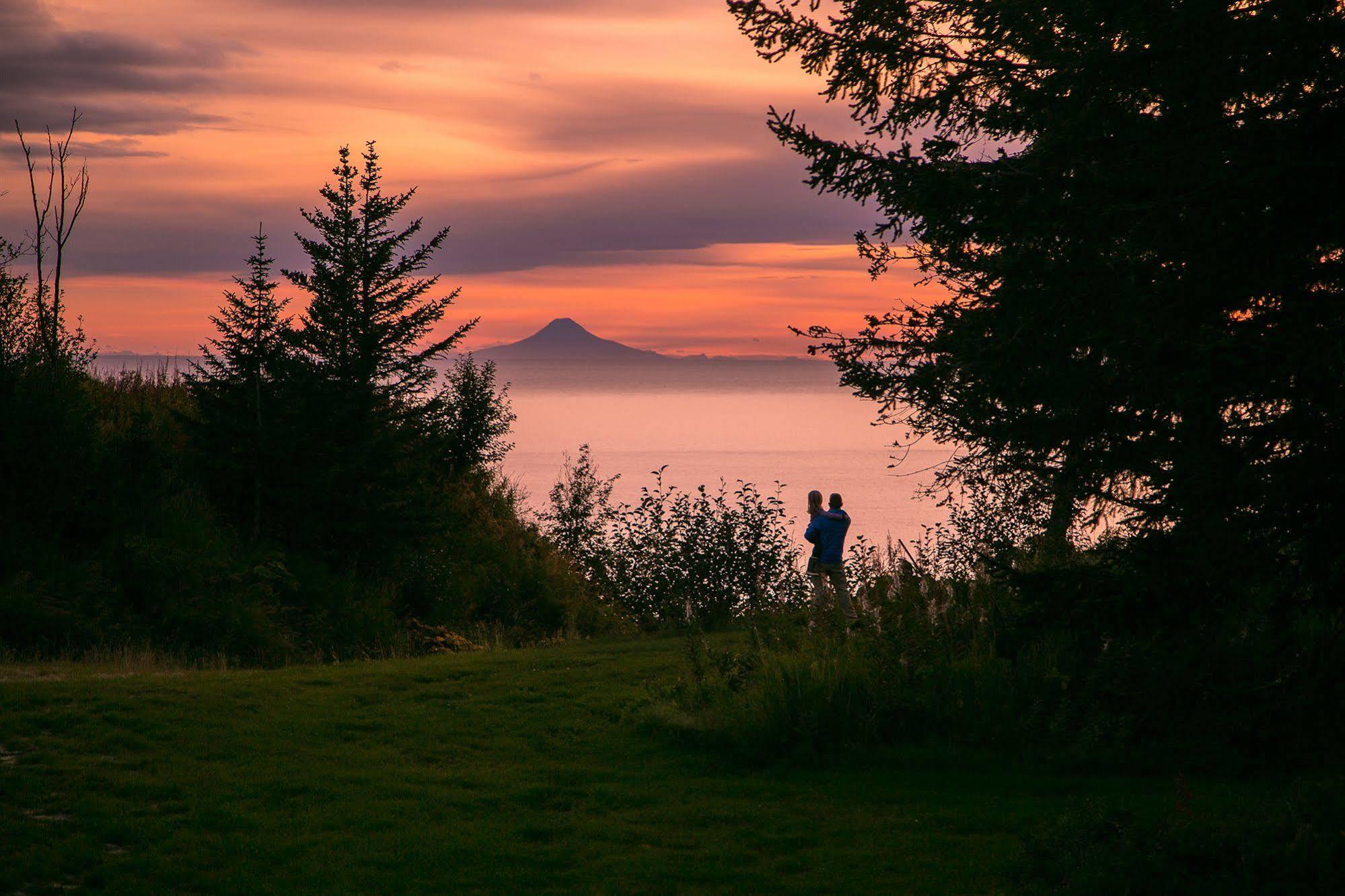 Kenai Peninsula *