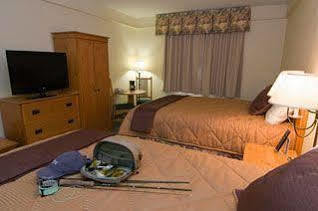 Lodge Denali Grizzly Bear Denali Park