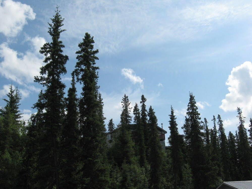 The Perch Resort Denali Park