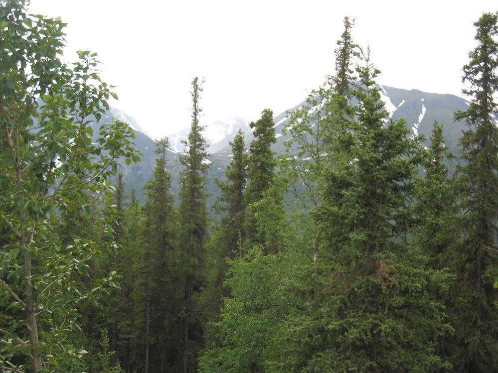 Lodge The Perch Resort Denali Park