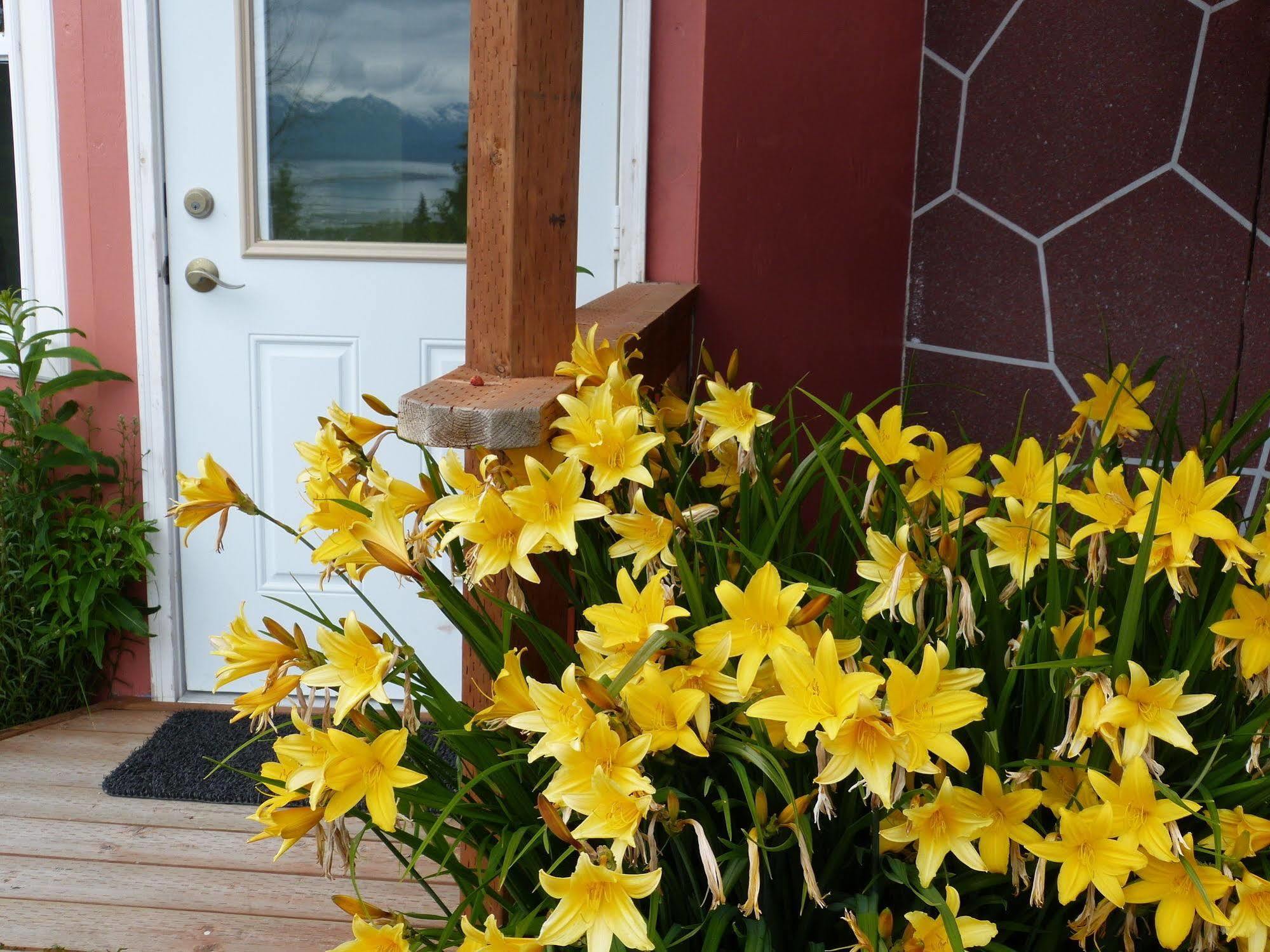 Halcyon Heights B&b/inn Homer