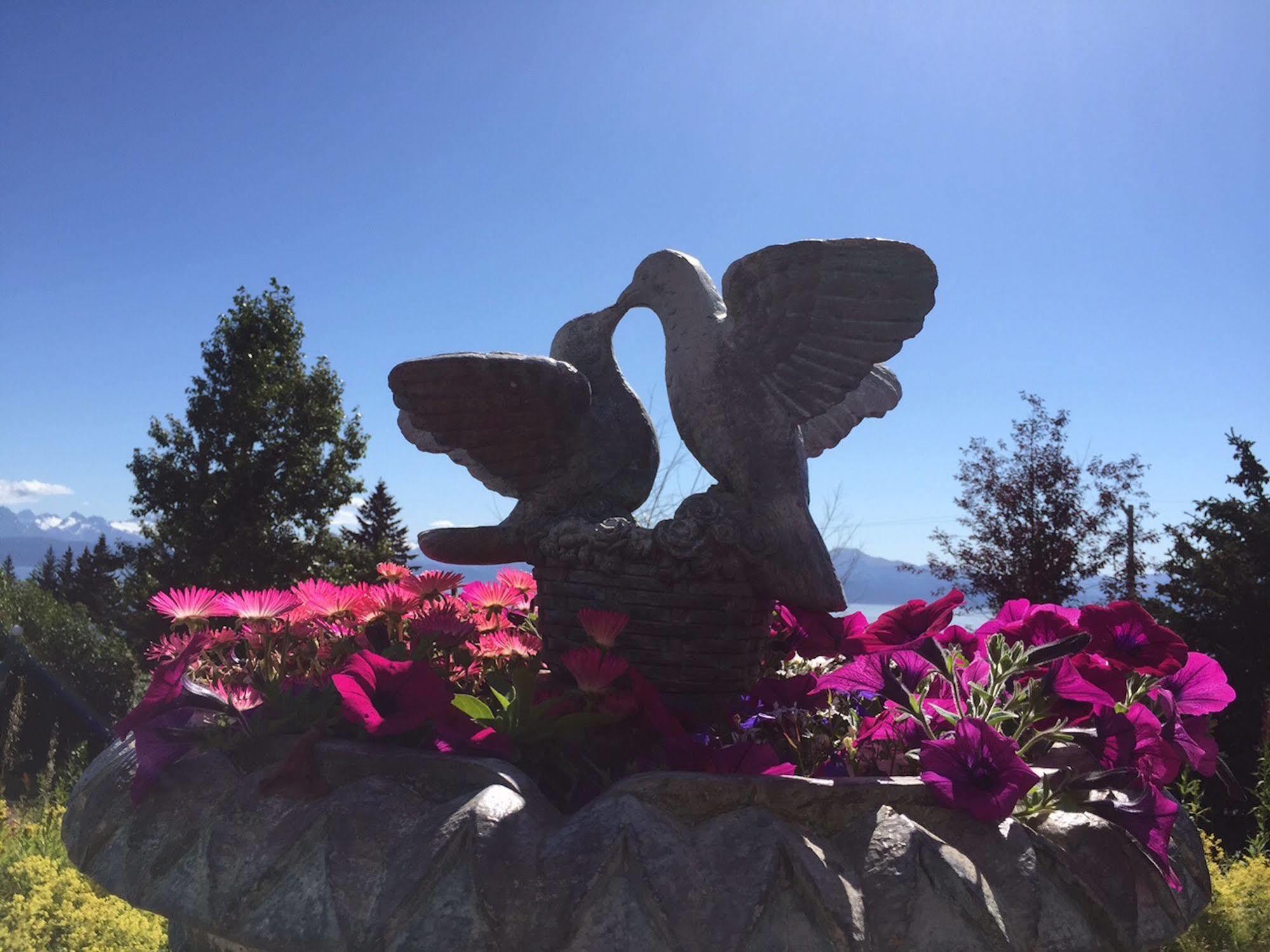 Halcyon Heights B&b/inn 5* Homer