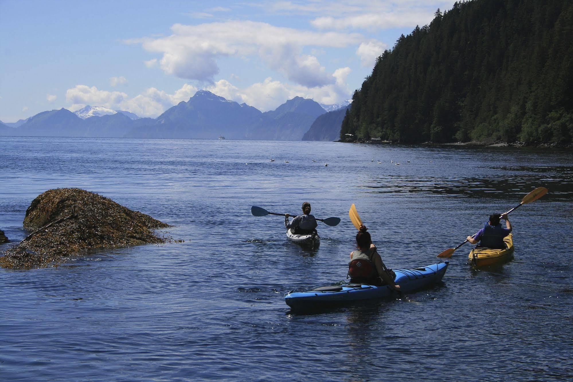Orca Island 4* Seward