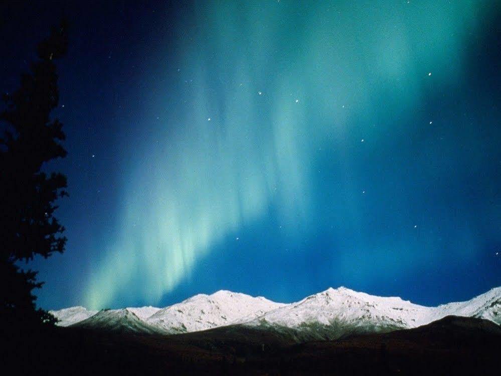 Motel Aurora Denali