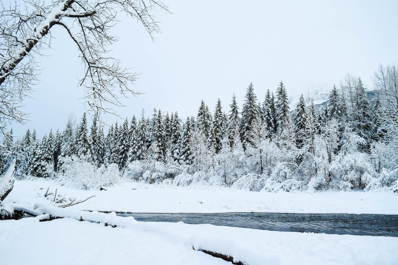 Jewel Girdwood