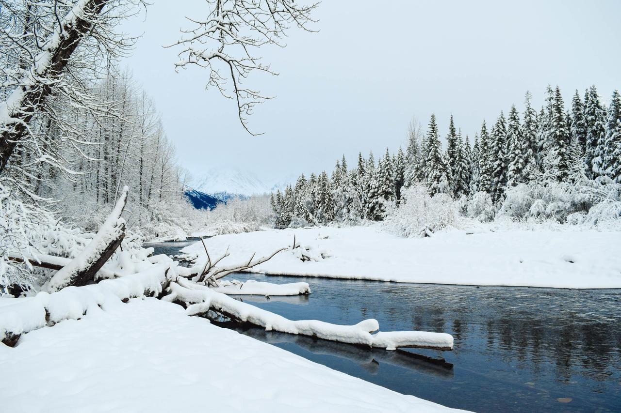 Jewel Girdwood