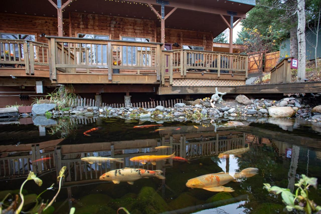 Bed & Breakfast Bear Creek Winery And Lodging *
