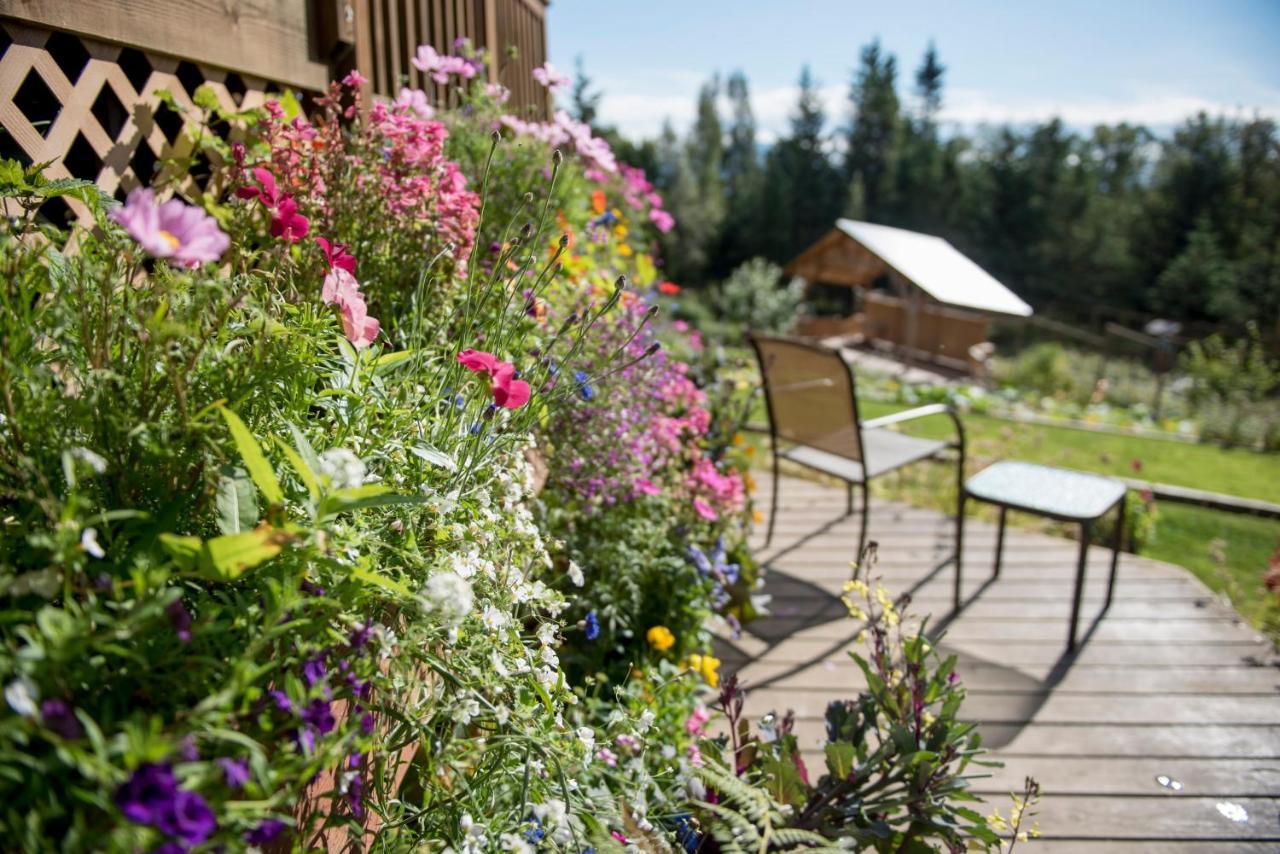 Bed & Breakfast Bear Creek Winery And Lodging *