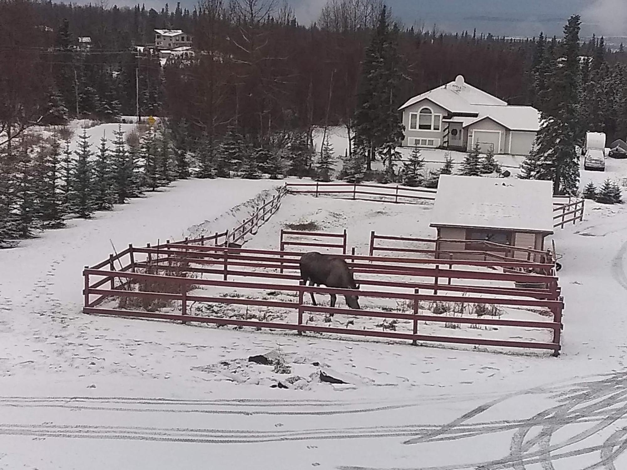 Alaska Sundance Retreat 3* Anchorage