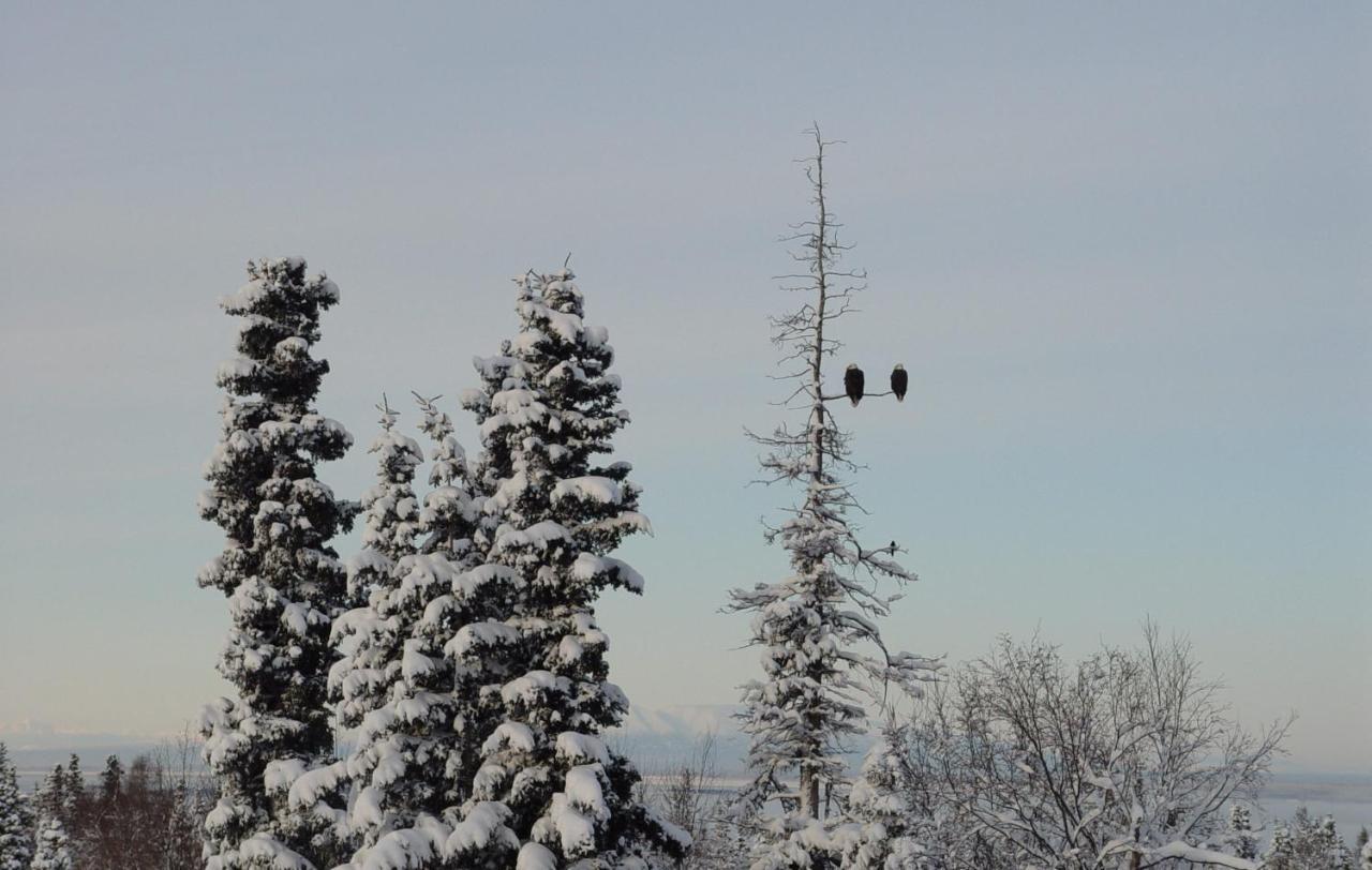 Alaska Sundance Retreat Bed & Breakfast Anchorage