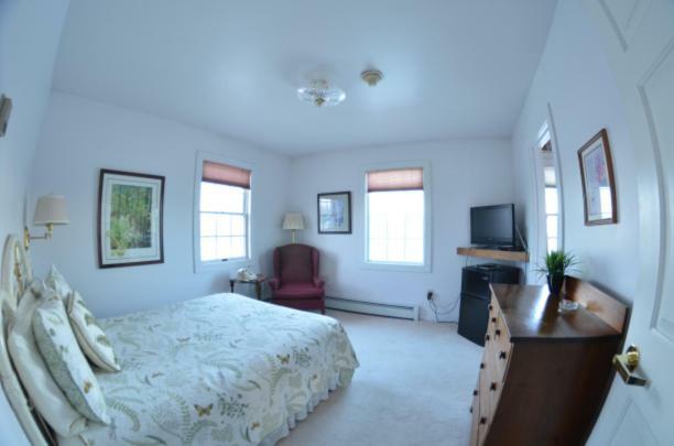 Colony 3* Palmer