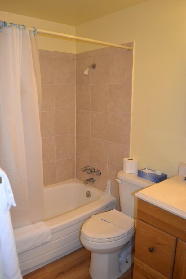 Pioneer Downtown 2*