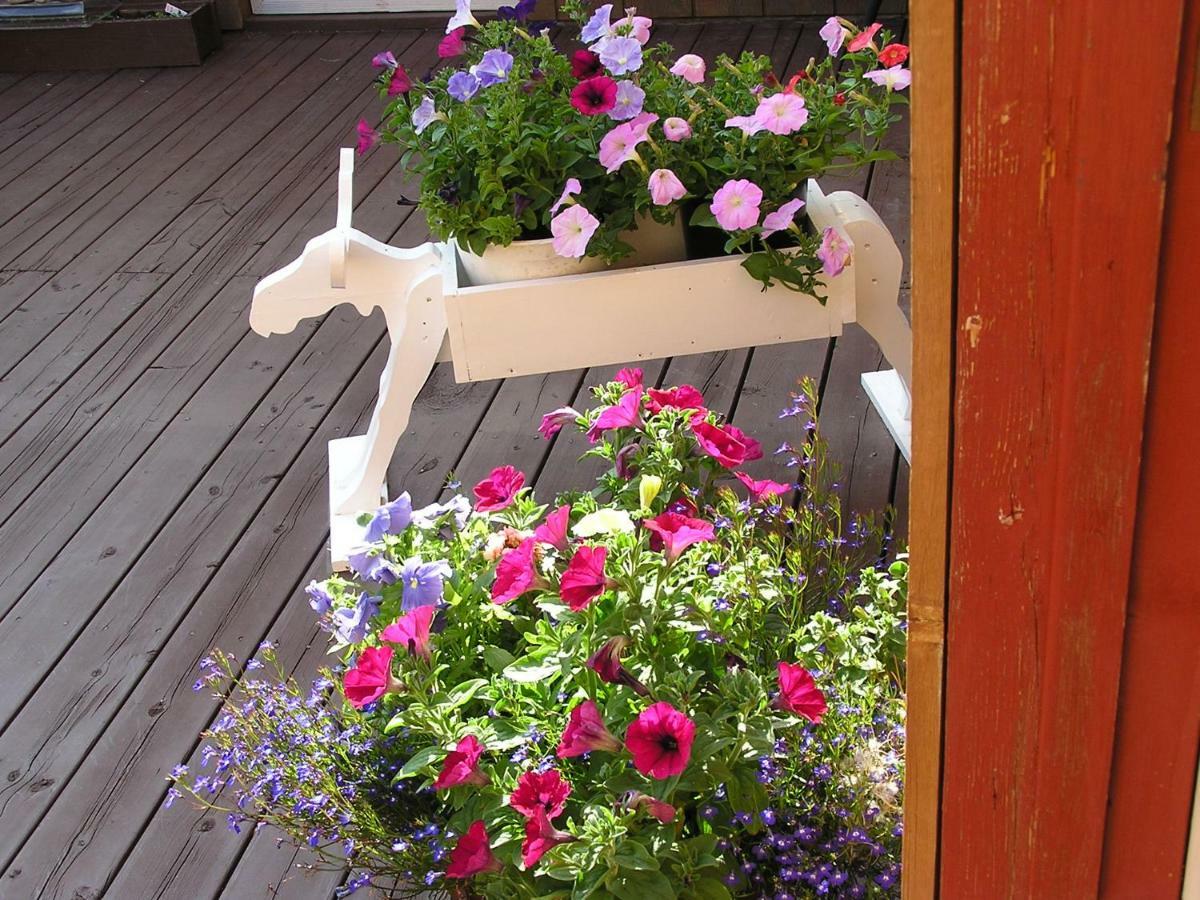 White Moose Healy