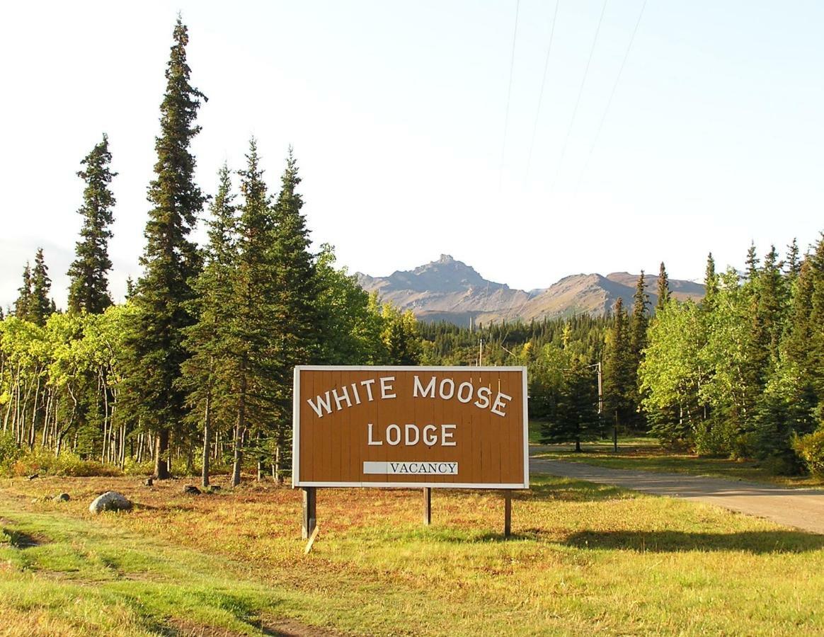 White Moose Hotel 3*