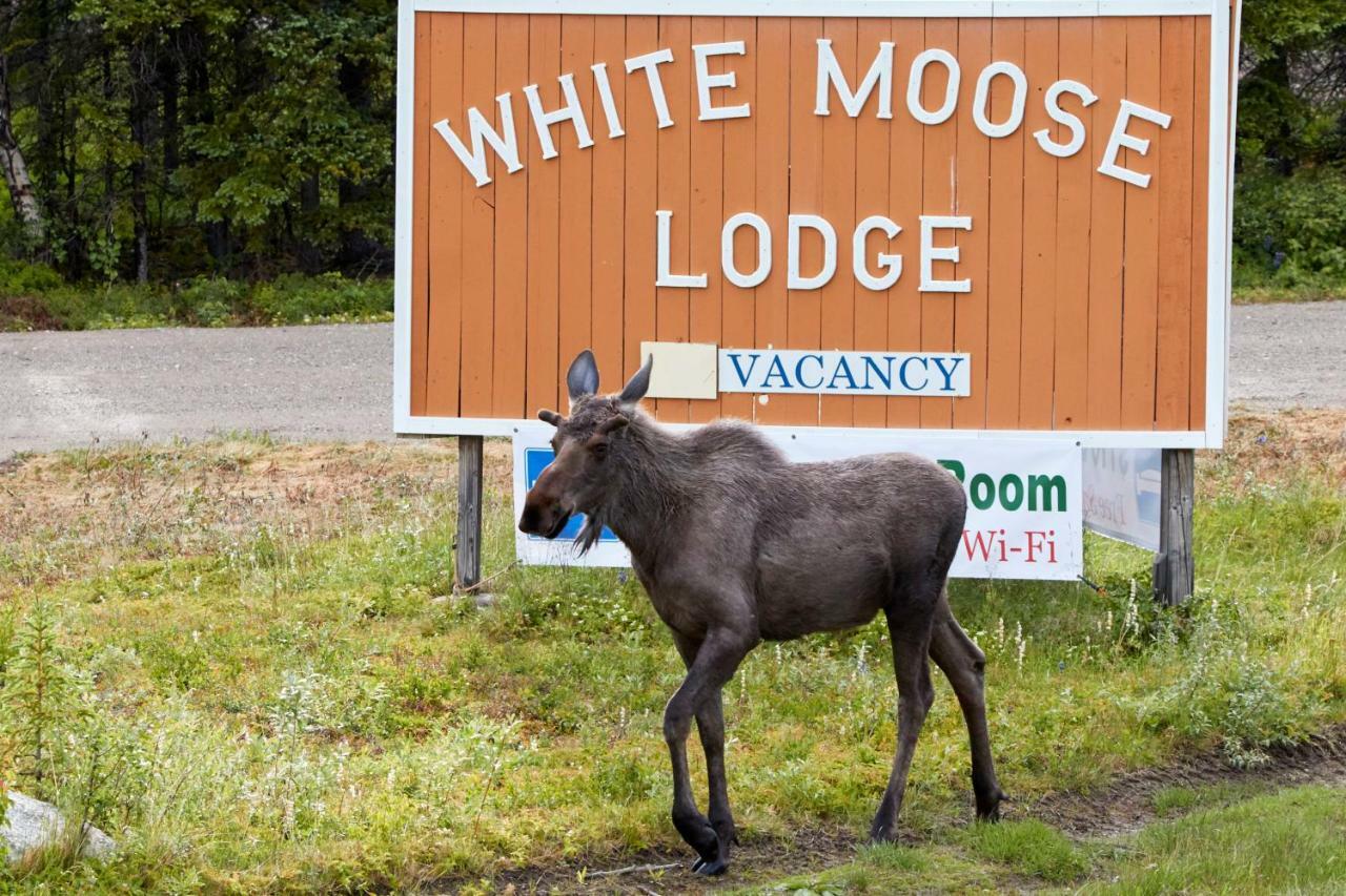 Hotel White Moose 3*