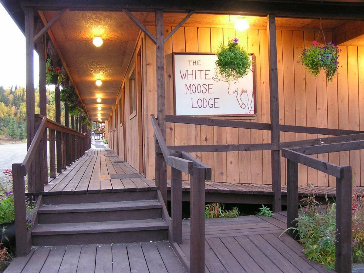Hotel White Moose Healy