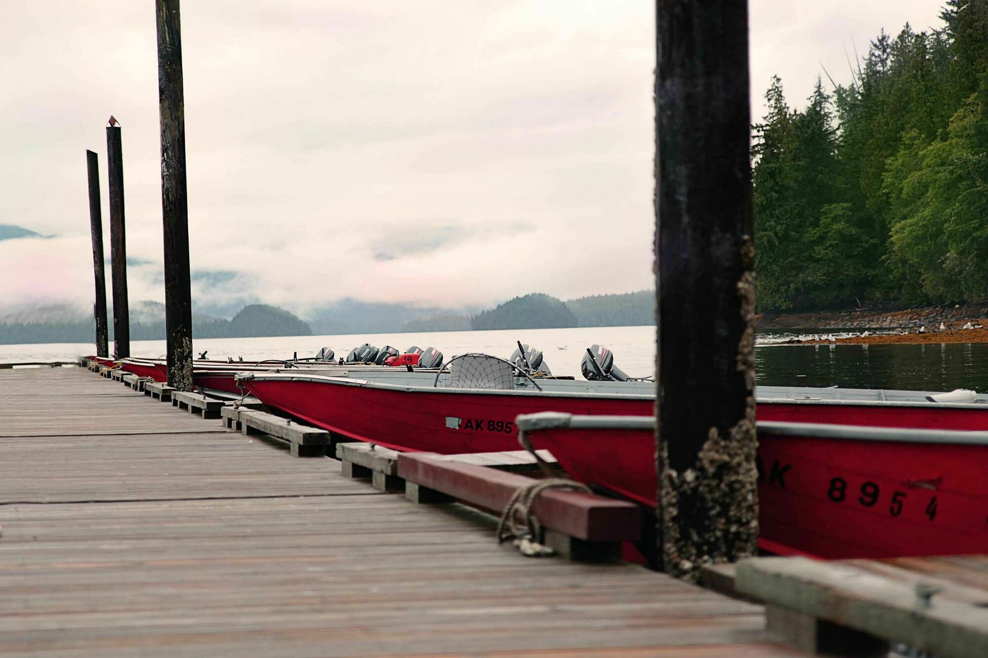 Salmon Falls Ketchikan