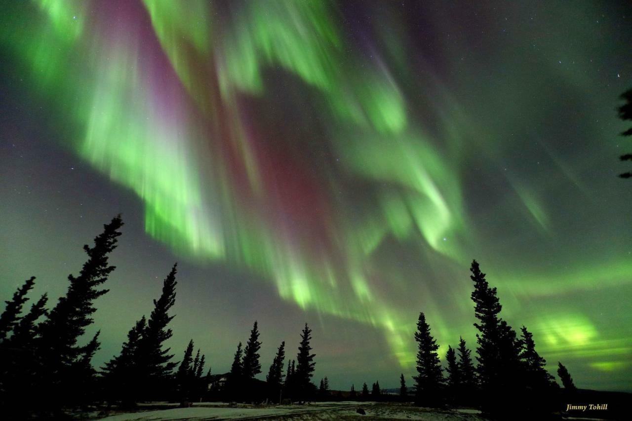 Denali King With Amazing Views Holiday home Healy