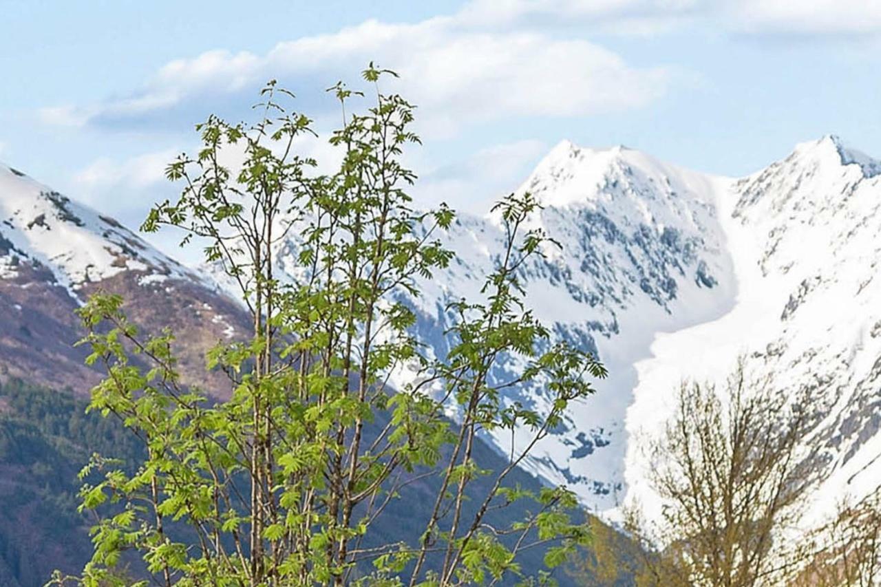 Alyeska North #400 * Girdwood