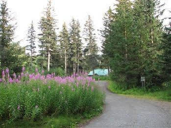 Alaskan Homer