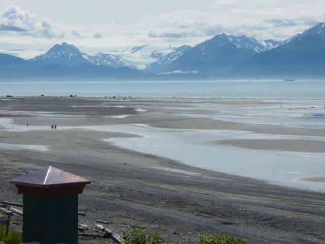 Inn Driftwood Homer