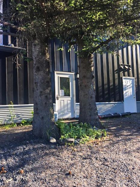 Bed & Breakfast The Vue Seward