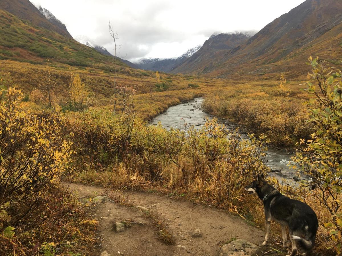 Hatcher Pass 3*