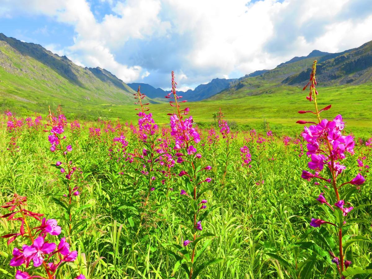 Hatcher Pass Bed & Breakfast Palmer