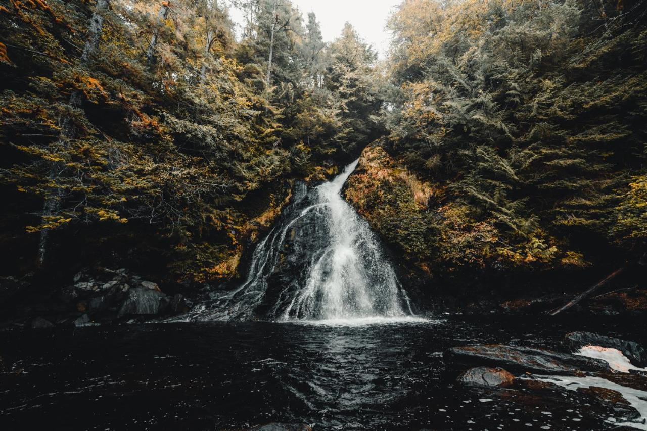 Resort Salmon Falls Ketchikan