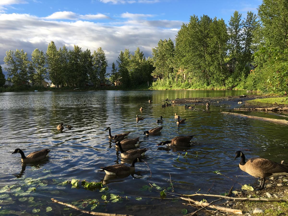 Reflection Lake Bed & Breakfast Anchorage