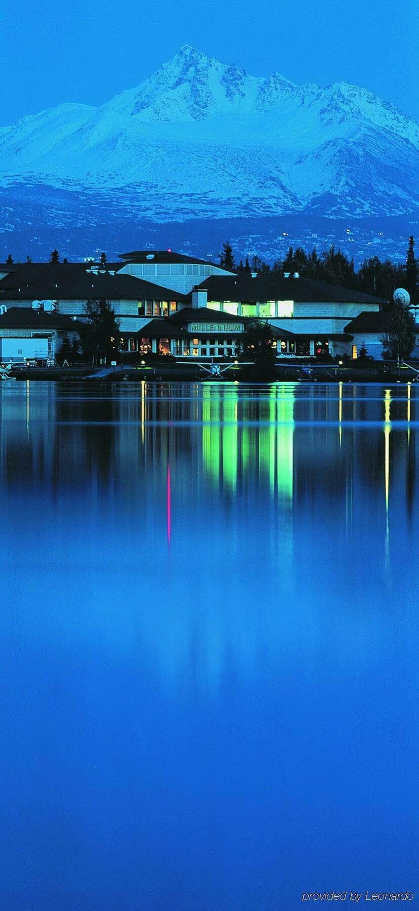 The Lakefront